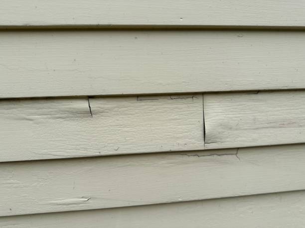 Best Engineered Wood Siding  in Provo, UT